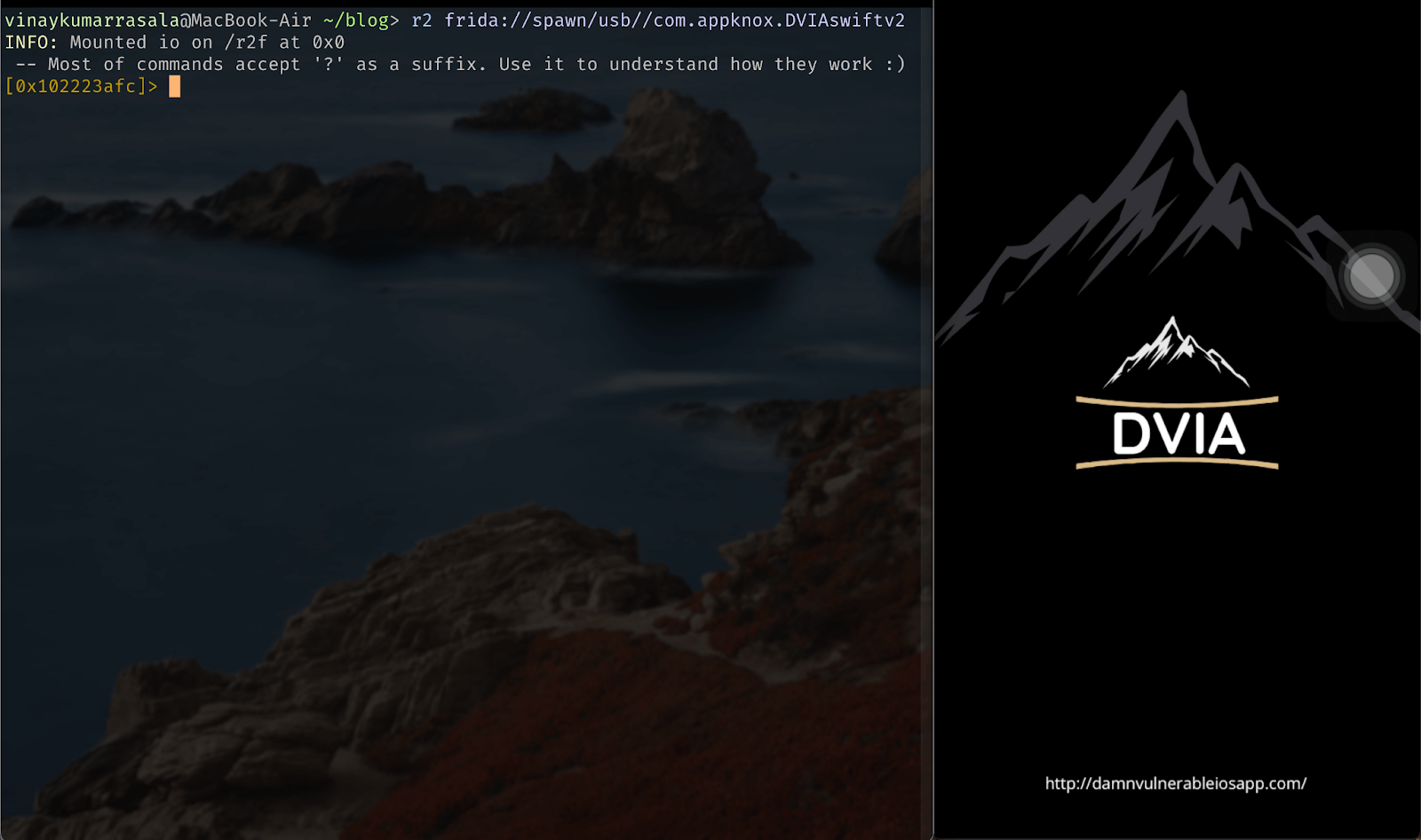 A screenshot showing how you can spawn an iOS application and pause its execution flow.