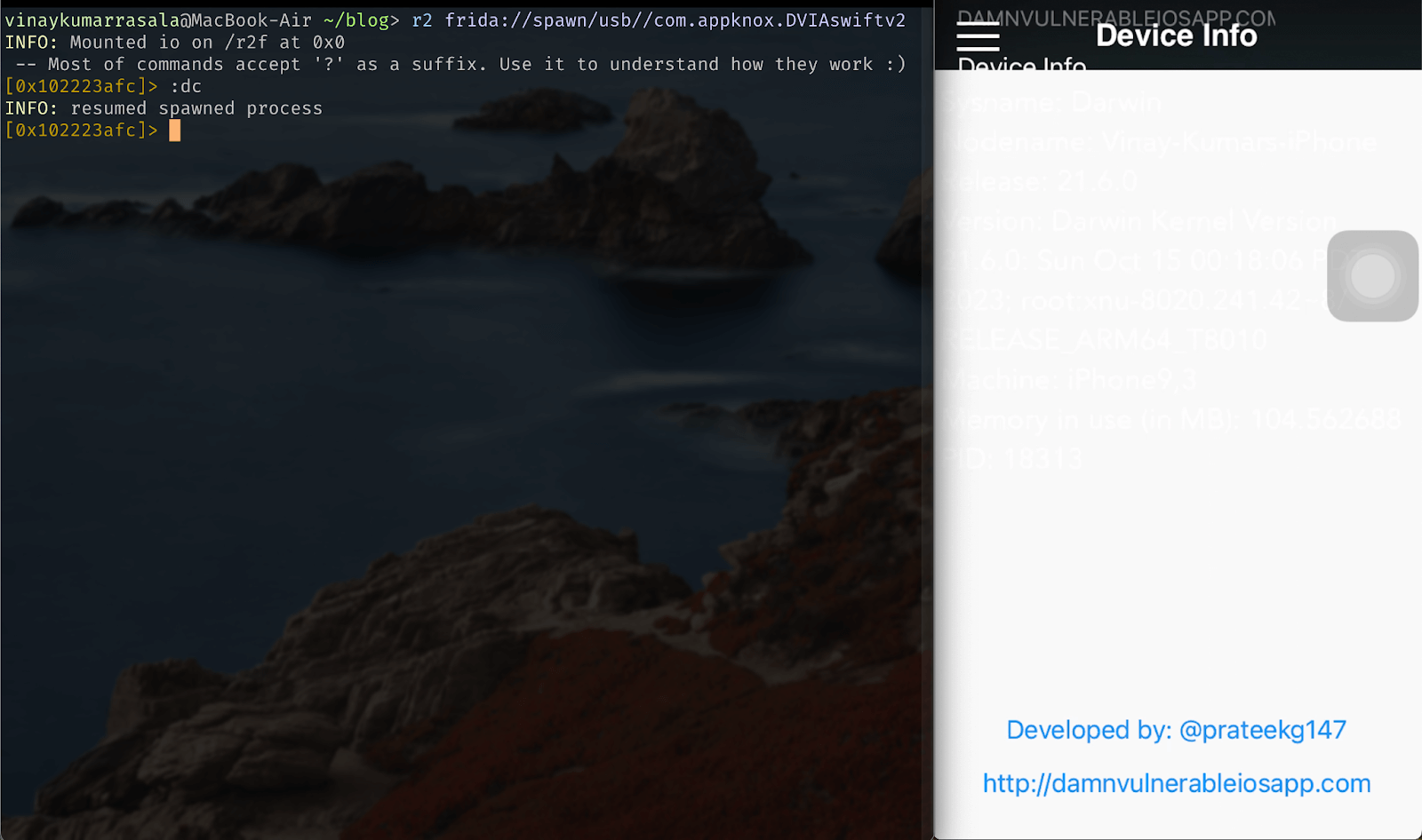 Entering the :dc command to resume the execution of an iOS application