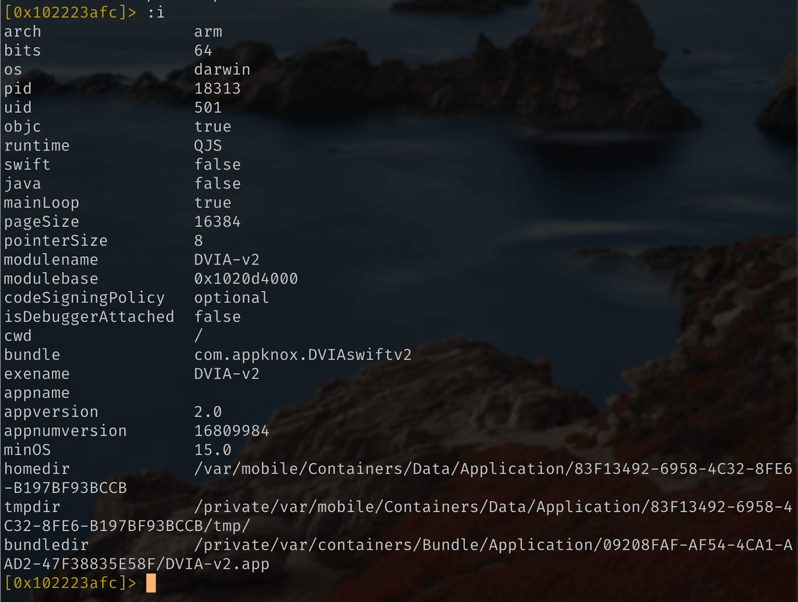 the :i command helps get information about the iOS application's target