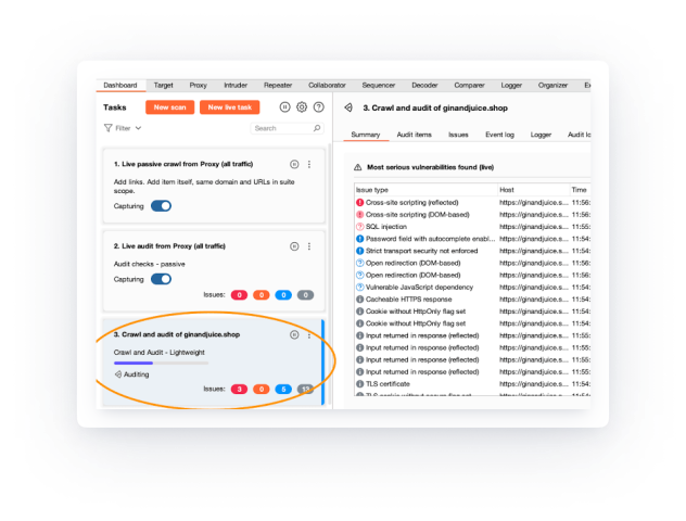 Burp Suite's dashboard