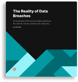 Reality of Data Breaches