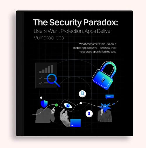 The-Security-Paradox