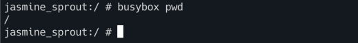 busybox pwd
