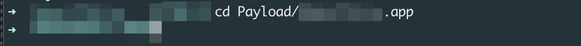 cd Payload test.app