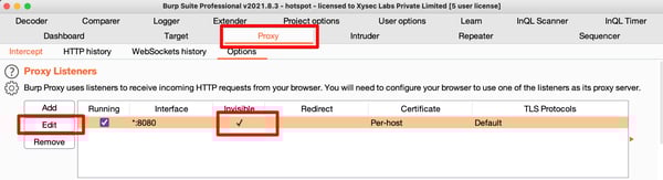 invisible proxy option