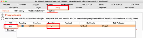 invisible proxy option