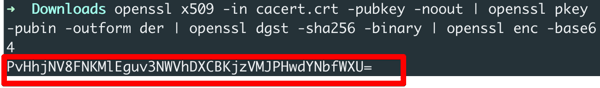 openssl enc -base64