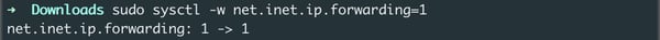 sysctl -w net.inet.ip.forwarding=1
