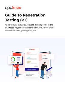 Guide to penetration testing