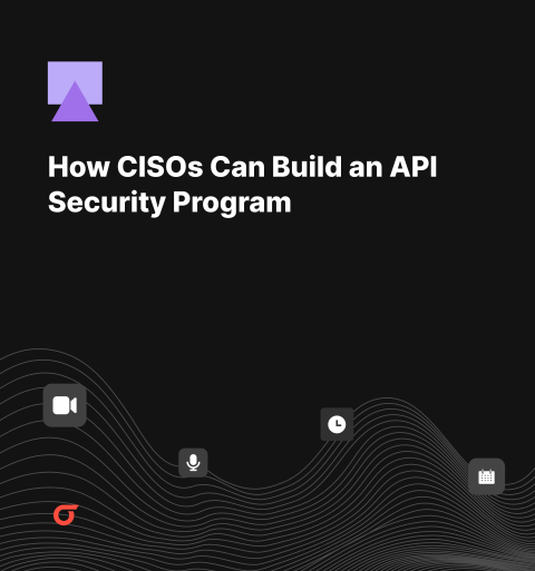 Building an Effective API Security Program: A Guide for CISOs