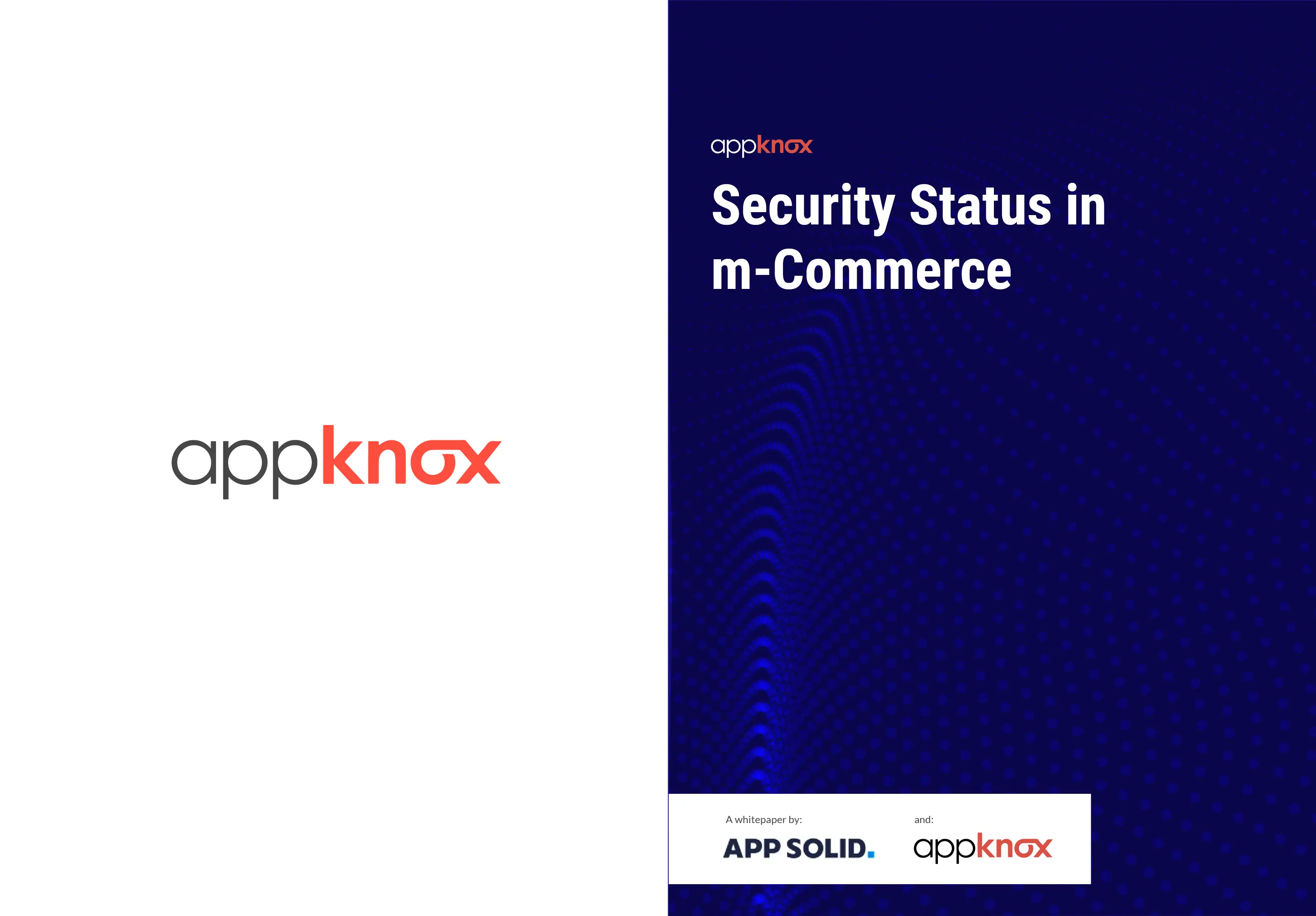 REPORTS - Security Status in Mcommerce-Thumbnail