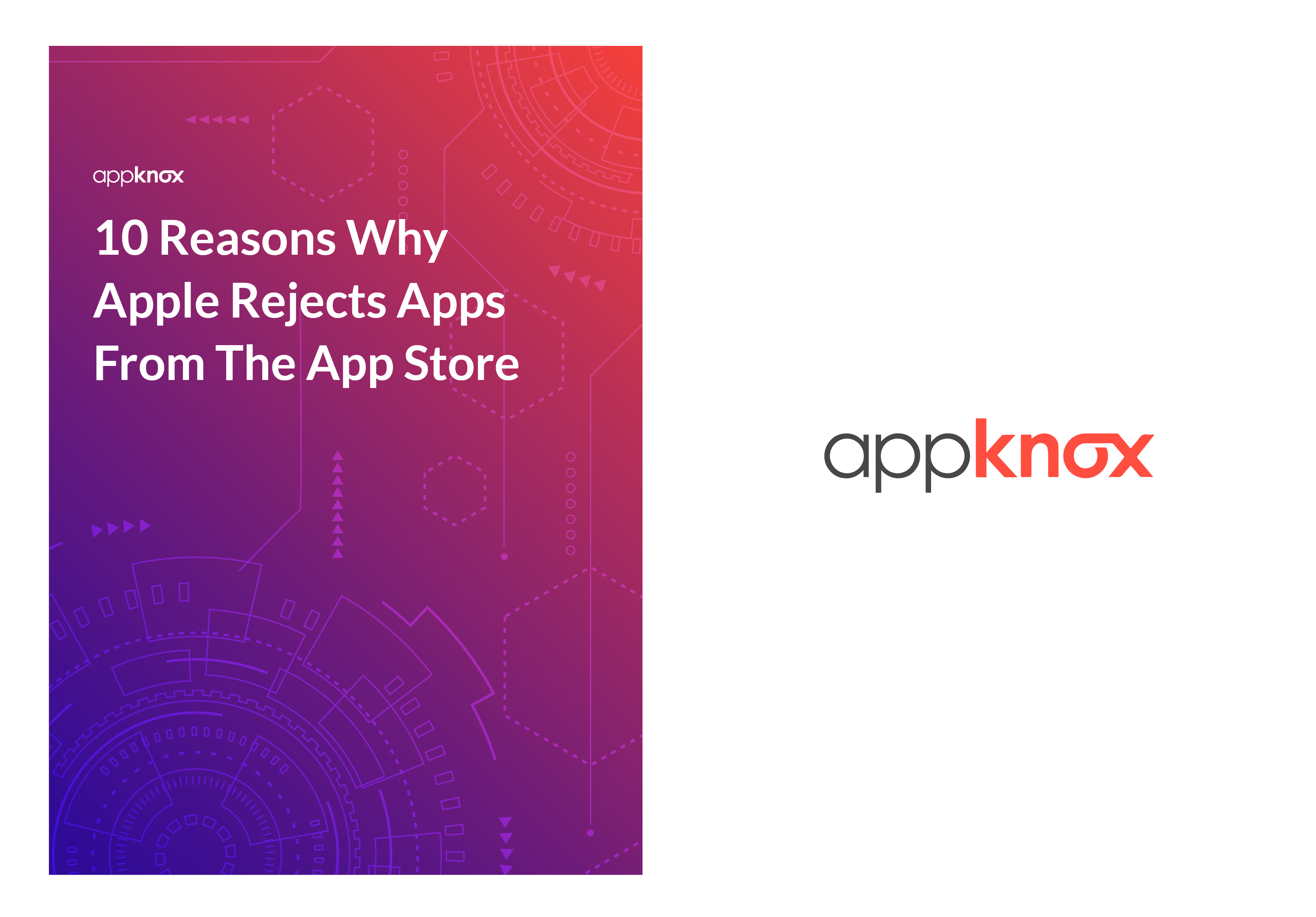 WHITE PAPER - 10 Reasons Why Apple Rejects Apps From The App Store-01