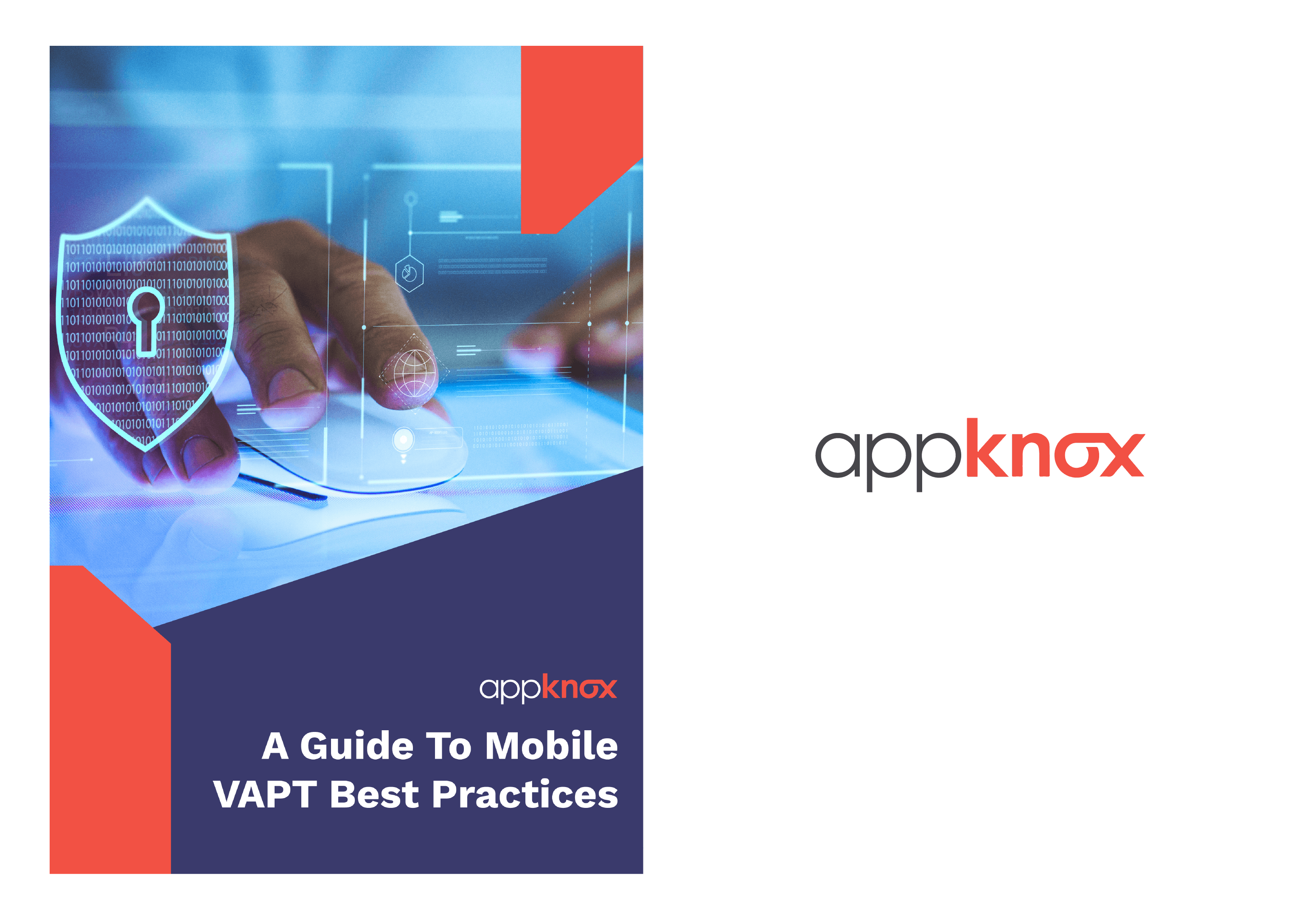 WHITE PAPER - VAPT Best Practices