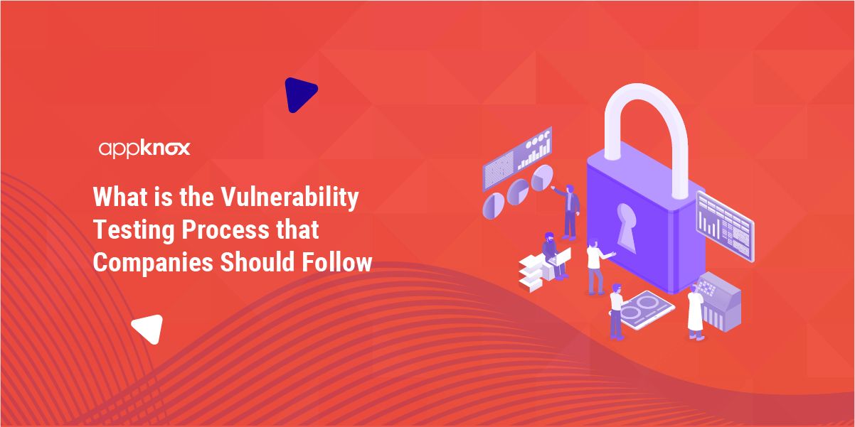 What is the Vulnerability Testing Process that Companies Should Follow