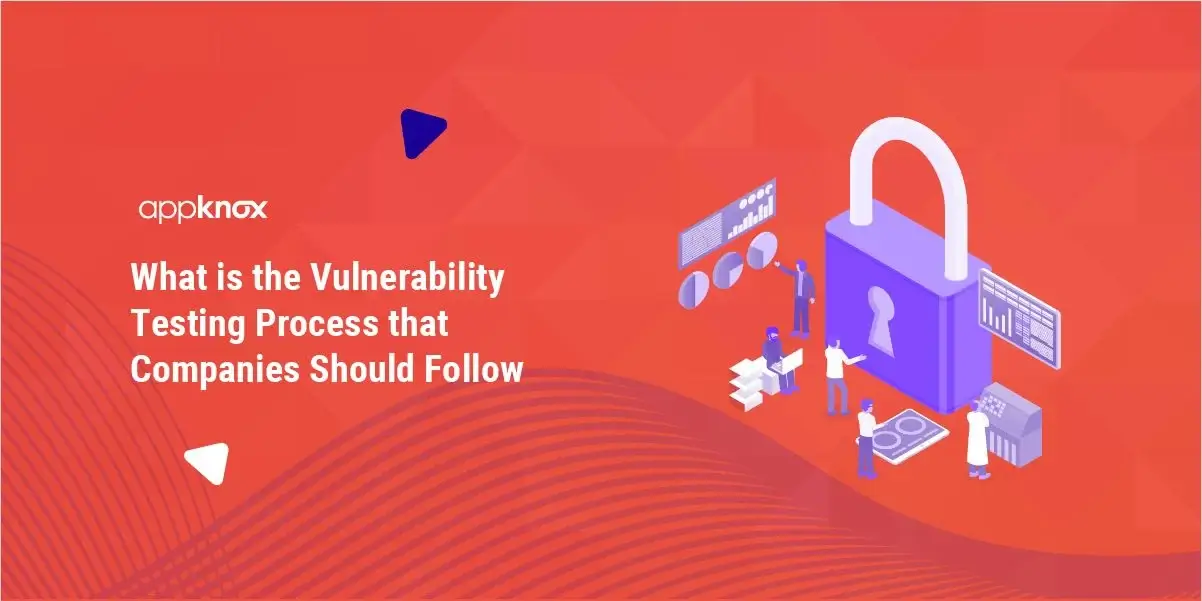 What is the Vulnerability Testing Process?